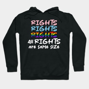 LGBTQ Equal Rights, LGBT Equality Shirt All Rights Are Same Size Hoodie